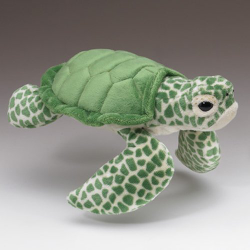Green Sea Turtle (Small)