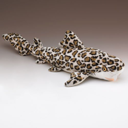 Leopard Shark by Wildlife Artists