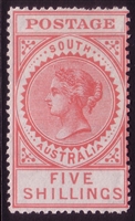 SA SG 305 1906-1912 MH FIVE SHILLINGS bright rose. Long Tom Thick POSTAGE. Perforation 12.5