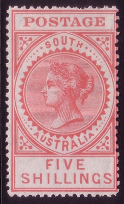 SA SG 305 1906-1912 MH FIVE SHILLINGS bright rose. Long Tom Thick POSTAGE. Perforation 12.5