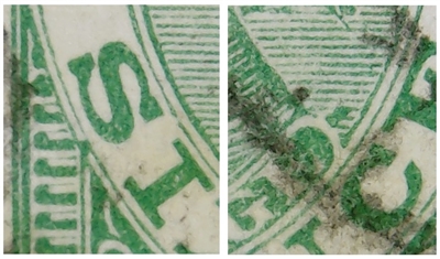 ACSC V99fa 'Colour flaw right of E of POSTAGE additionally with variety g' VIC SG 392 1901 Six Pence 6d Green Laureate Queen Victoria Australia