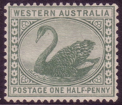 WA SG 94 1885-1893 MHNG  Â½d yellow-green