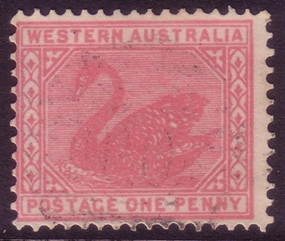 WA SG 117 variety ACSC W8D perf 12.4 1903-1905 1d pale rose