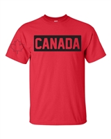 Canada Hockey With Maple Leaf on the Sleeve Men's T-Shirt (1738)