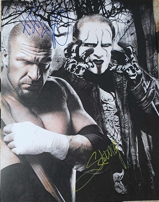 TRIPLE H & STING signed poster