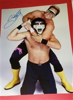 STING signed poster