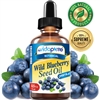 Wild Blueberry Seed Oil myVidaPure