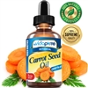 Carrot Seed Oil myvidapure