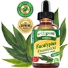 Eucalyptus Essential Oil Organic myVidaPure