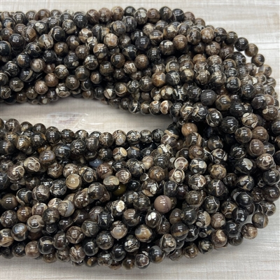 kelliesbeadboutique.com | 6mm Turritella Agate Strands