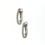 EDC01044 18k White Gold Earrings