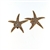 EDP01224 18k Rose Gold Diamond Starfish Earrings