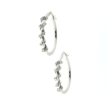 ESS0068 Sterling Silver Earrings