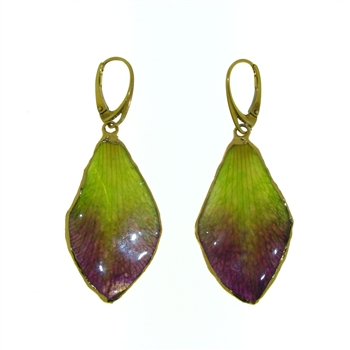 ESS1177 Sterling Silver Petal Earrings