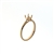 RLM7016 18k Rose Gold Ring