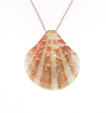 SG1089 Sterling Silver Diamond Seashell Pendant