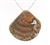 SG1093 Sterling Silver Seashell Pendant